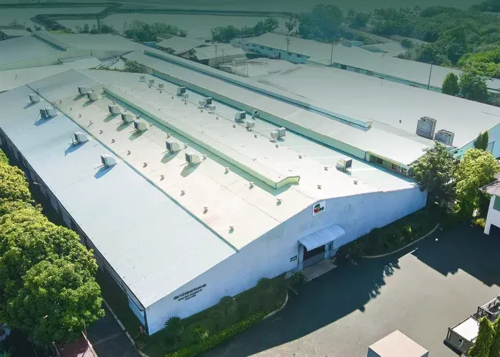 Sản phẩm bao bì hoàn thiện với thiết kế thẩm mỹ và kết cấu chắc chắn