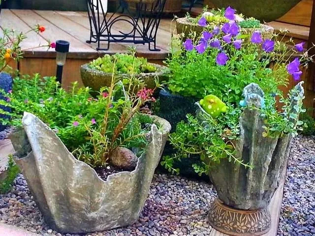 nơi bán chậu xi măng