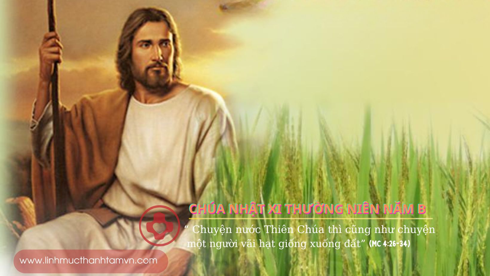 Xi Măng Tây Đô Tuyển Dụng: Cẩm Nang Tìm Việc Và Cơ Hội Phát Triển Sự Nghiệp Bền Vững