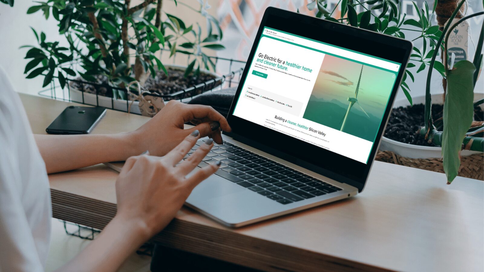 Hướng Dẫn Chi Tiết: Nuôi Ba Ba Trong Bể Xi Măng Hiệu Quả