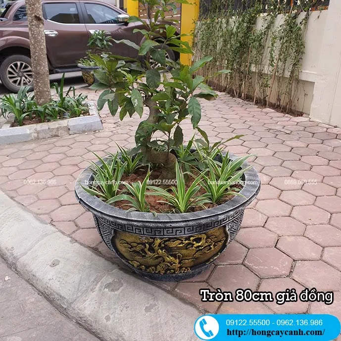 Chậu xi măng tròn 80cm
