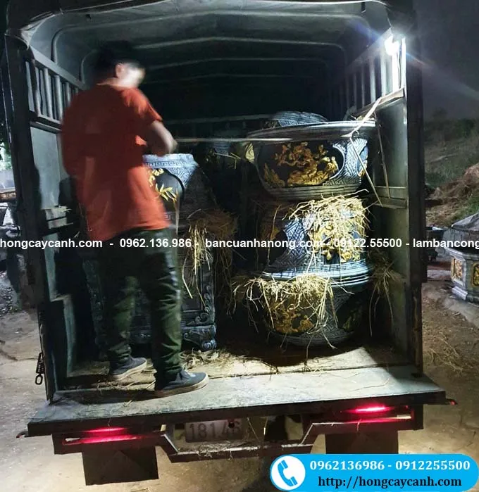 Bán chậu xi măng trồng cây