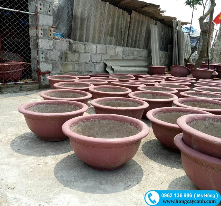 Bán chậu xi măng tròn tại Hà Nội với cam kết về độ bền cao và không phai màu