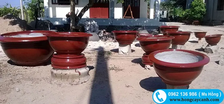 Chậu xi măng tròn sơn đỏ được kiểm tra tiêu chuẩn kỹ lưỡng trước khi bàn giao cho khách