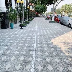 Báo giá 50+ gạch lát vỉa hè mới nhất