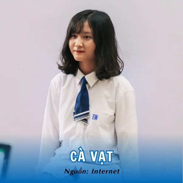 Cà vạt đi kèm cùng áo đồng phục sơ mi