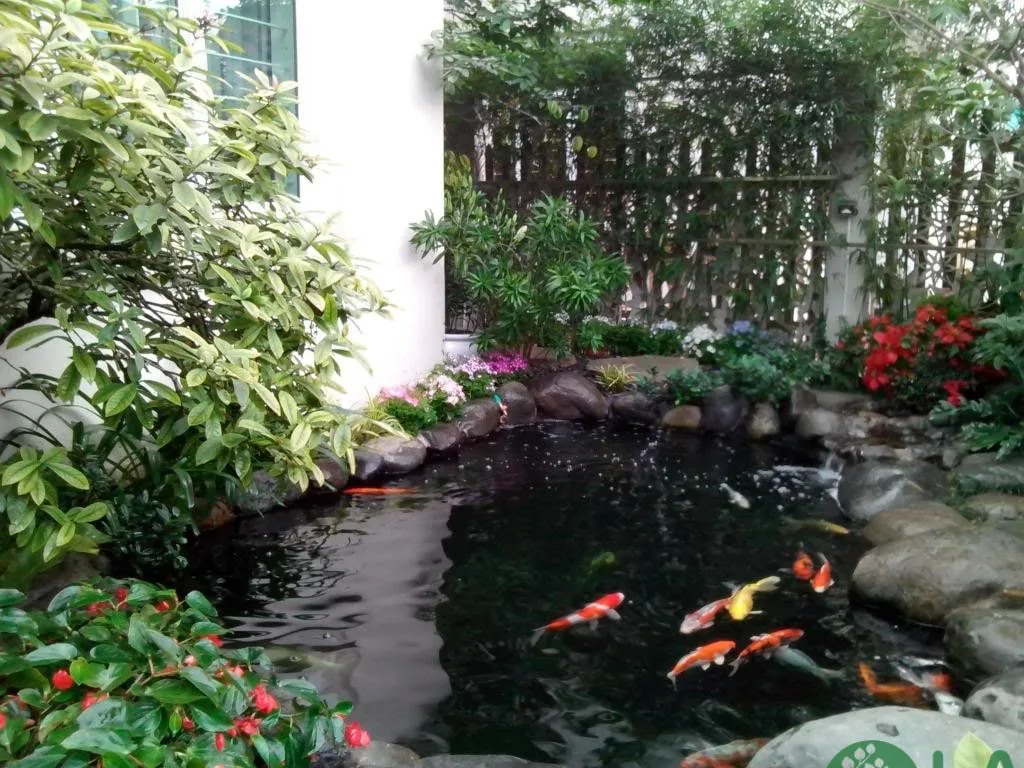 Kết hợp nhiều phương pháp để khử bể xi măng hiệu quả Các phương pháp làm trong nước hồ cá xi măng