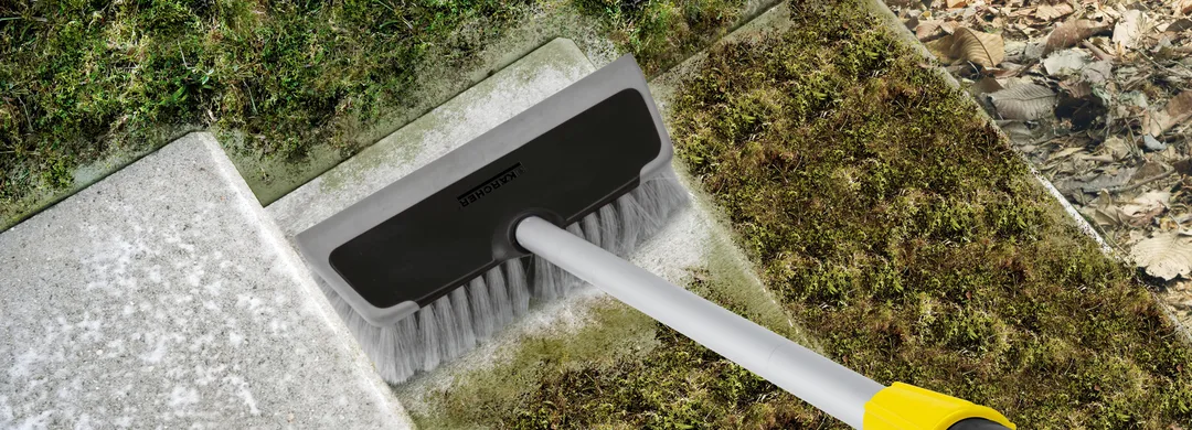 cách tẩy rong rêu trên nền xi măng bằng bàn chải cứng
