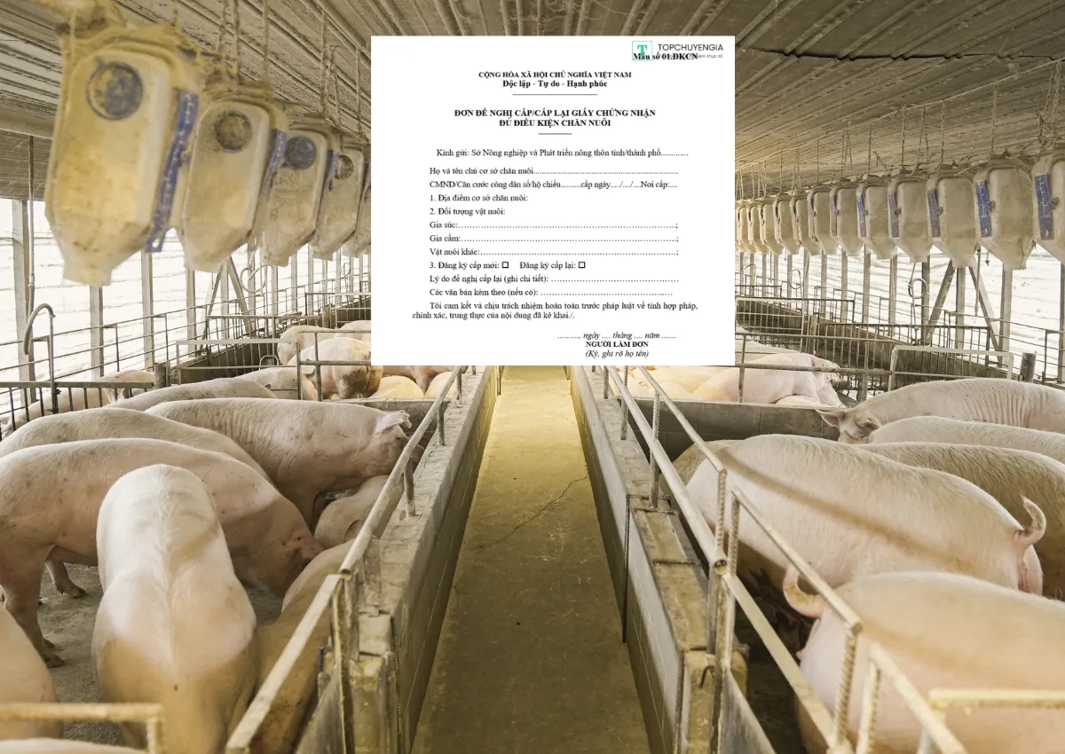 Cấp giấy phép xây dựng trang trại chăn nuôi