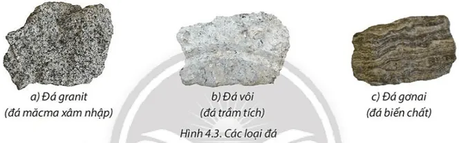 Sơ đồ phân loại các loại vật liệu cấu tạo vỏ trái đất bao gồm khoáng vật và ba nhóm đá chính