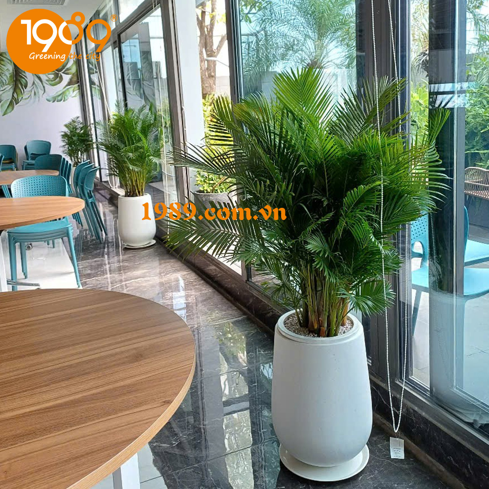 Chậu Xi Măng Đá Mài: Nâng Tầm Không Gian Sống Với Vẻ Đẹp Bền Vững