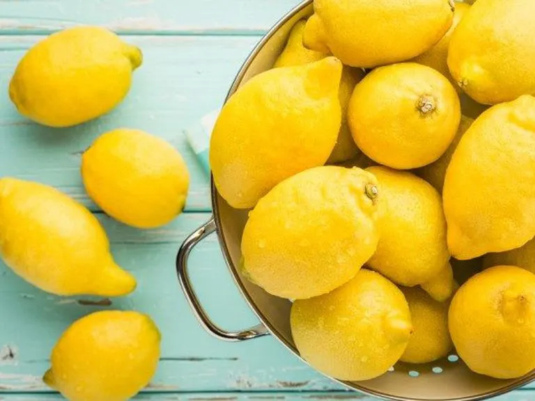 Cảnh chanh tươi được dùng để khử mùi và làm sạch bề mặt xi măng của bể nước