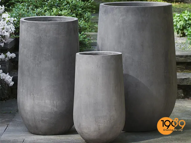 chậu cây cảnh xi măng cỡ lớn