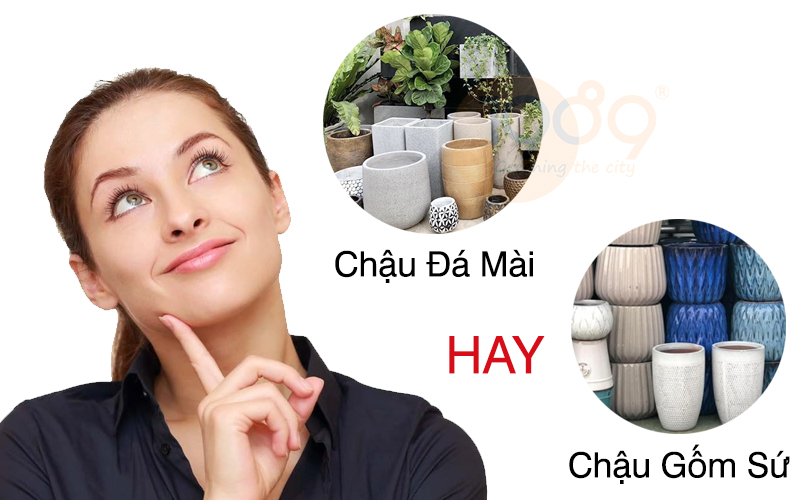 Chậu Trồng Cây Bằng Xi Măng: Lựa Chọn Bền Vững Cho Không Gian Xanh