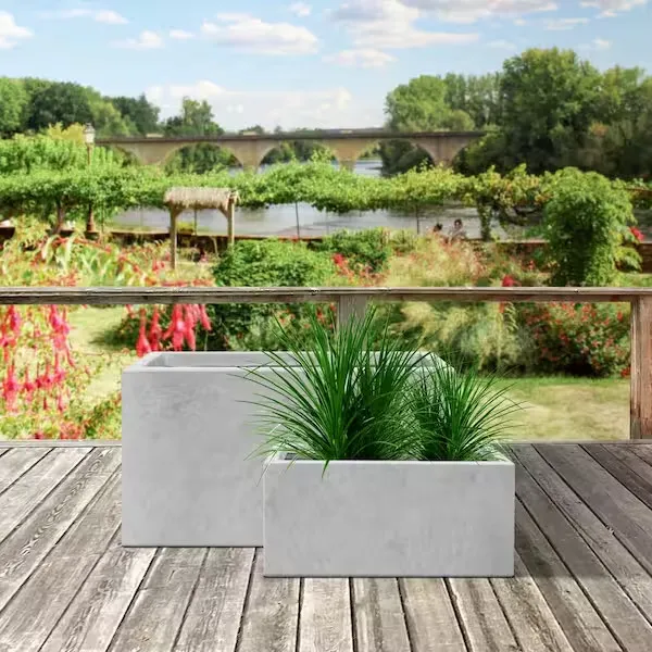 Chậu xi măng đá mài hình chữ nhật 50x100cm phối hợp cùng cây cảnh xanh mát