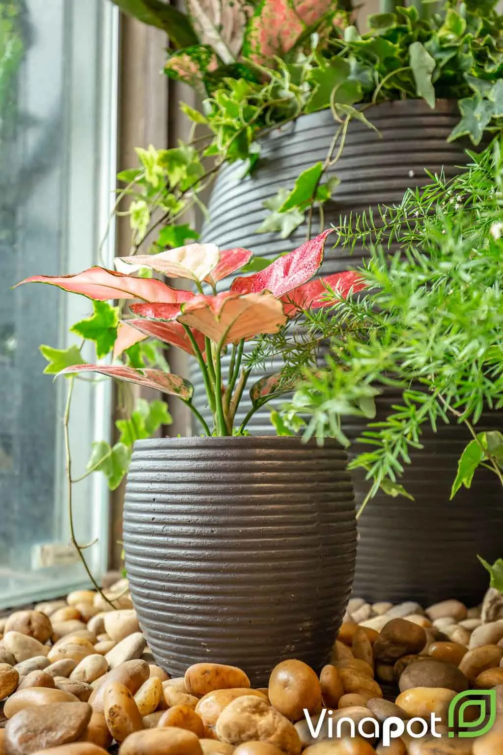 Cận cảnh chậu xuất khẩu Lemon với thiết kế vân độc đáo