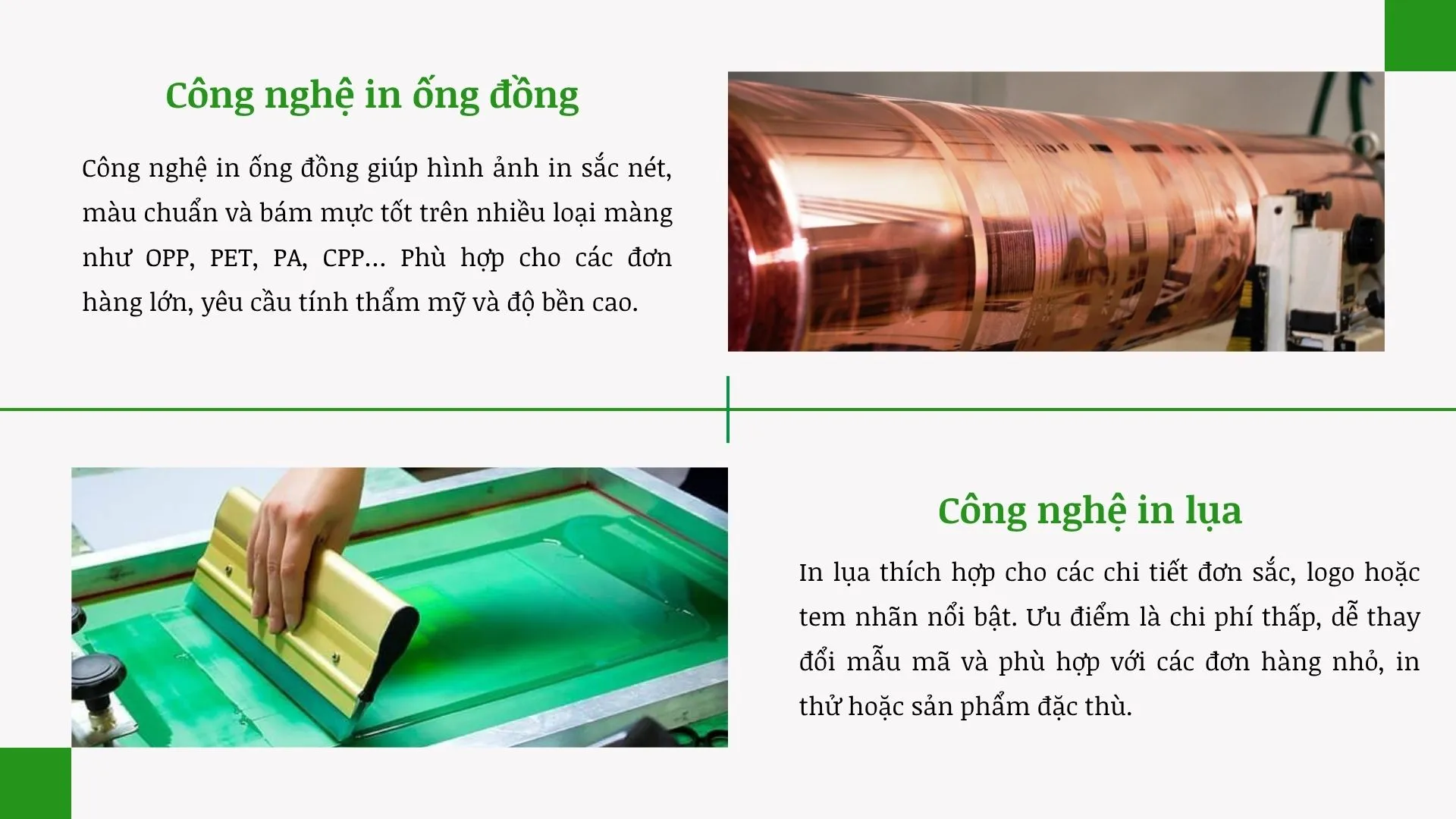 Công nghệ in ấn bao bì sản phẩm hiện đại tại xưởng Thành Tiến