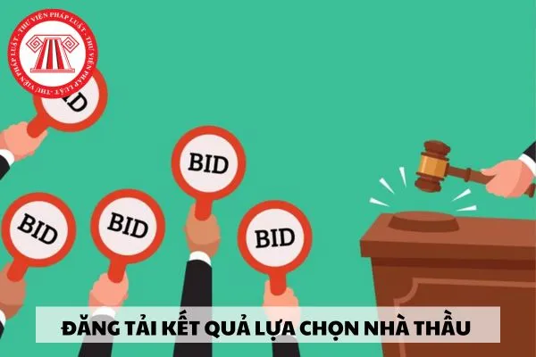 Thời gian đăng tải kết quả lựa chọn nhà thầu lên Hệ thống mạng đấu thầu quốc gia là bao lâu?