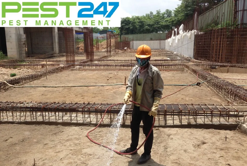 Diệt mối trước khi xây nhà