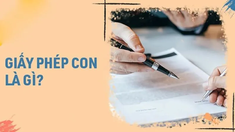 giáº¥y phÃ©p con lÃ  gÃ¬