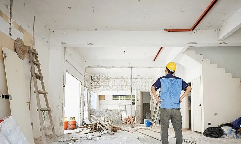 giáº¥y phÃ©p con lÃ  gÃ¬