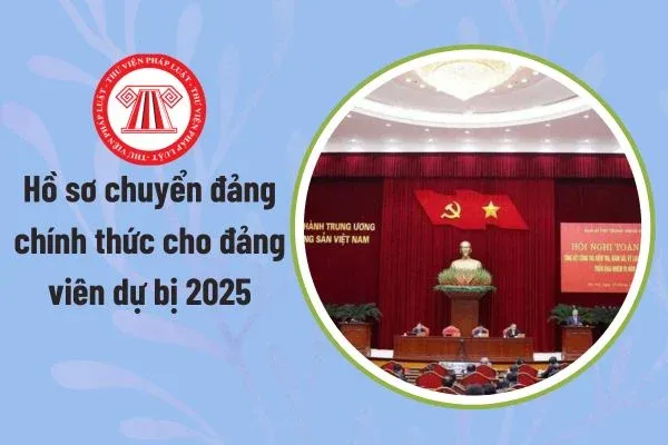 Hồ sơ chuyển đảng chính thức cho đảng viên dự bị 2025