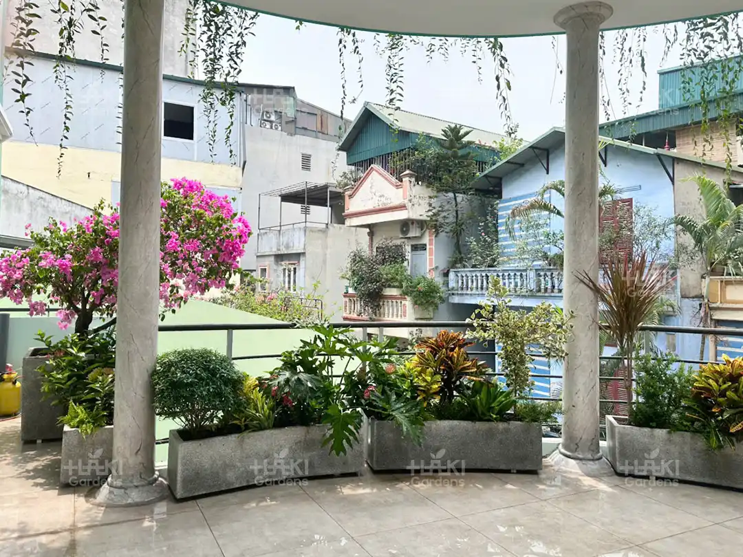 Chậu Xi Măng Đá Mài Hà Nội: Giải Pháp Trang Trí Không Gian Xanh Hiện Đại