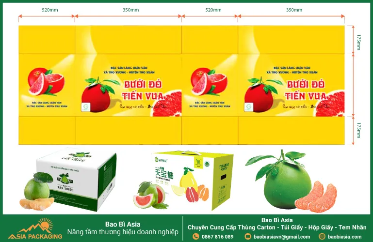 ThÃ¹ng carton 5 lá»›p Ä'á»±ng bÆ°á»Ÿi