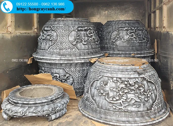 Giao chậu xi măng tròn trồng cây