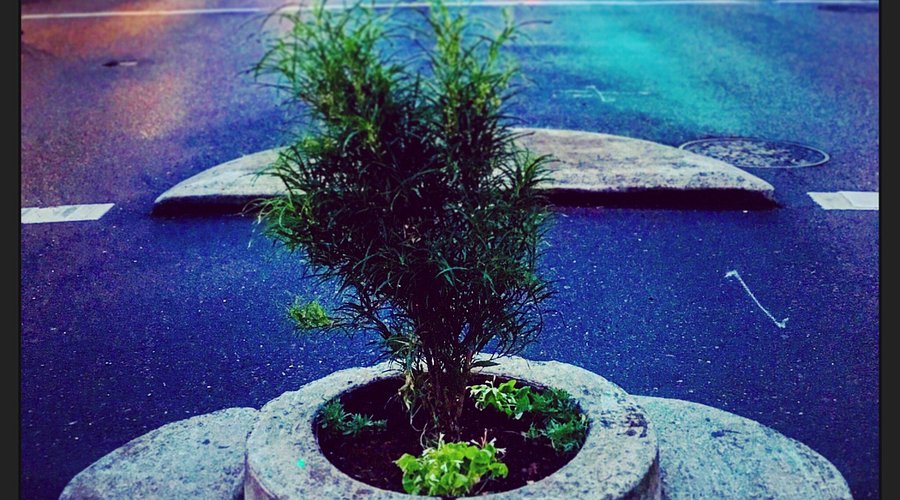 [giá chậu cảnh xi măng lục giác Mới Nhất Năm 2024]