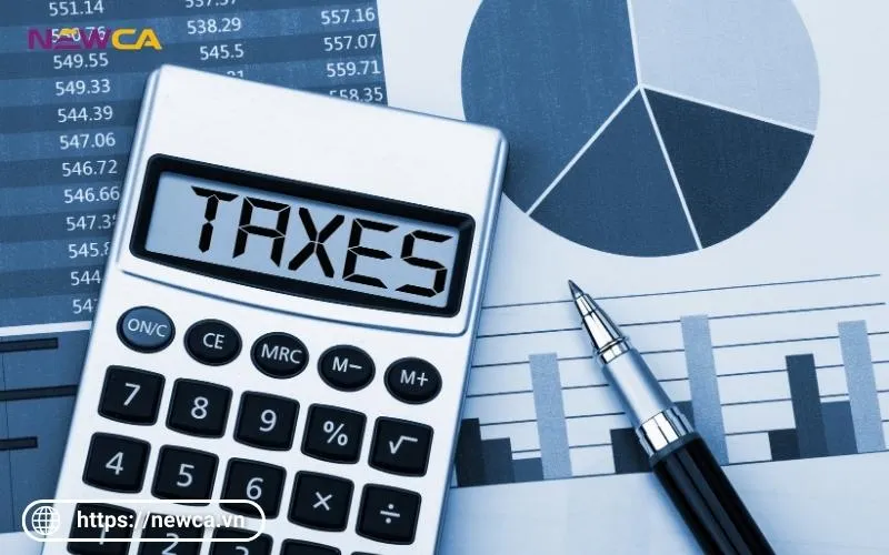 Nguyên tắc cấp mã số thuế