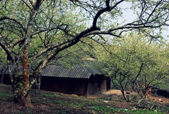 Tấm lợp fibro xi măng dạng sóng