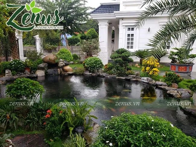 Cảnh quan hồ cá Koi với cây xanh hợp lý