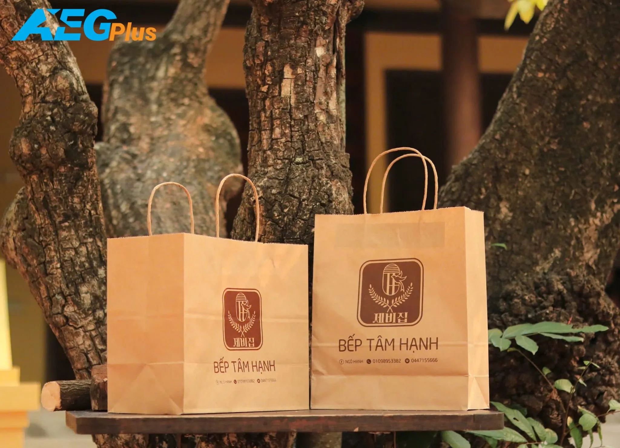 Túi giấy kraft có quai xách in logo thương hiệu, thiết kế tối giản phù hợp shop thời trang