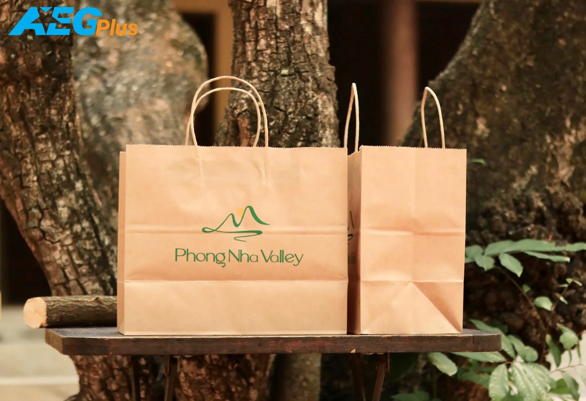 Túi giấy kraft phủ PE chống thấm, định lượng 120 gsm phù hợp đựng đồ ướt