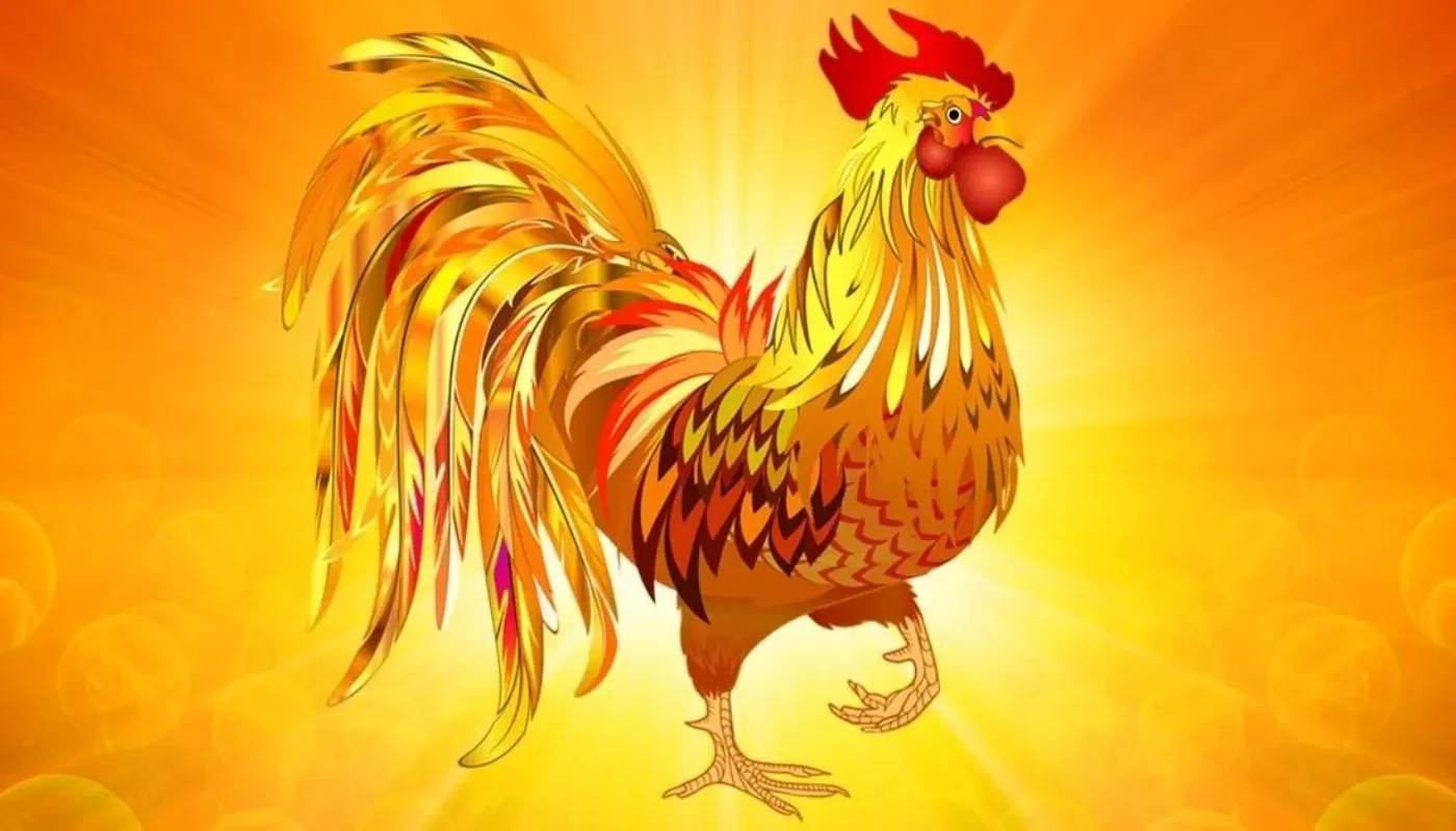 Tổng quan về tuổi Quý Dậu 1993 xây nhà năm 2026