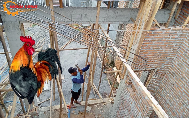 tuổi tân dậu xây nhà năm 2026