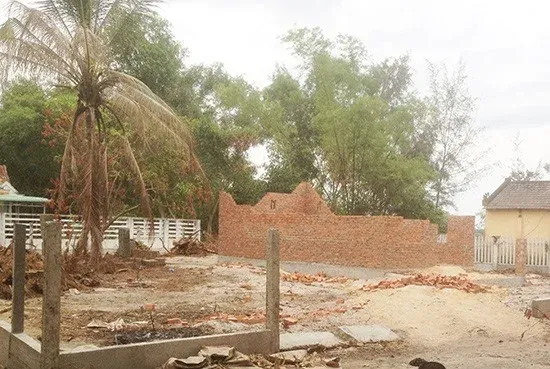 XÃ¢y nhÃ  trÃªn Ä‘áº¥t trá»“ng cÃ¢y lÃ¢u nÄƒm