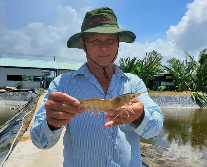 Tỉnh Trà Vinh khuyến khích người nuôi tôm áp dụng tiến bộ khoa học công nghệ vào sản xuất.
